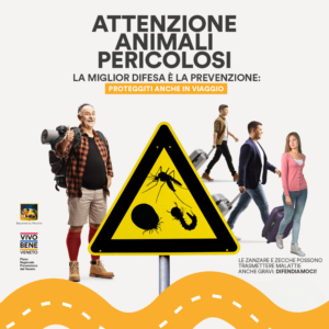 Protezione zanzare in viaggio