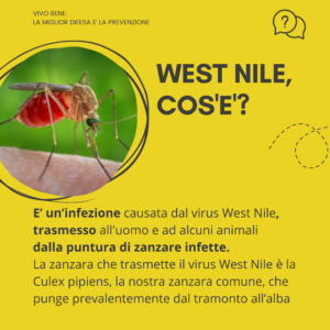 West nile cos'é?