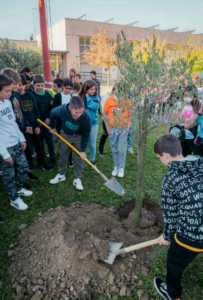 Giovani che piantano un ulivo