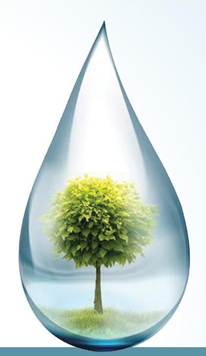 Albero in una goccia d'acqua