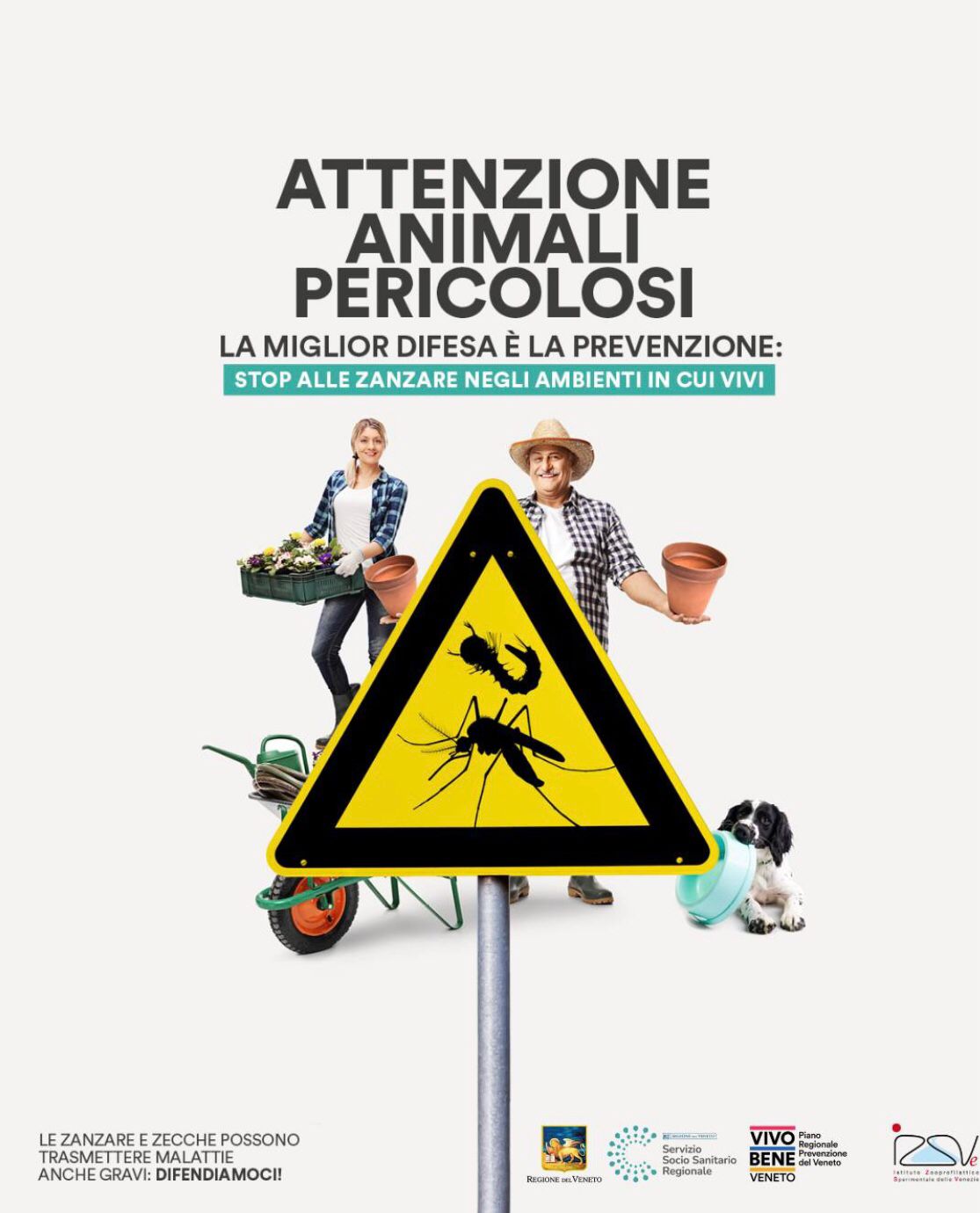 Immagine anteprima