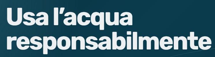 Immagine anteprima